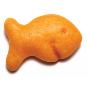 Can-I-give-my-baby-Goldfish-crackers