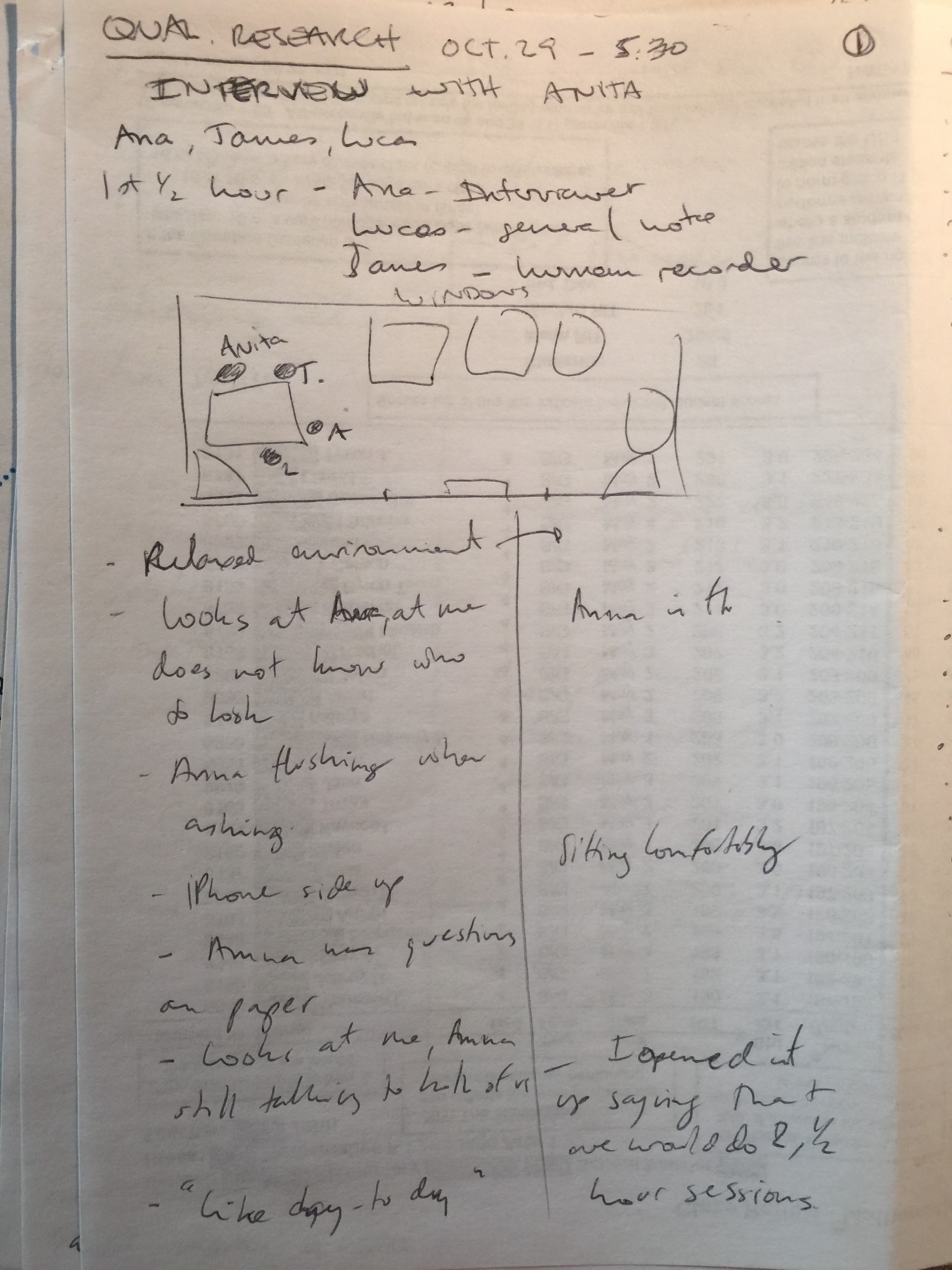 Qualitative Research - Tech Adoption - Interview with Anita