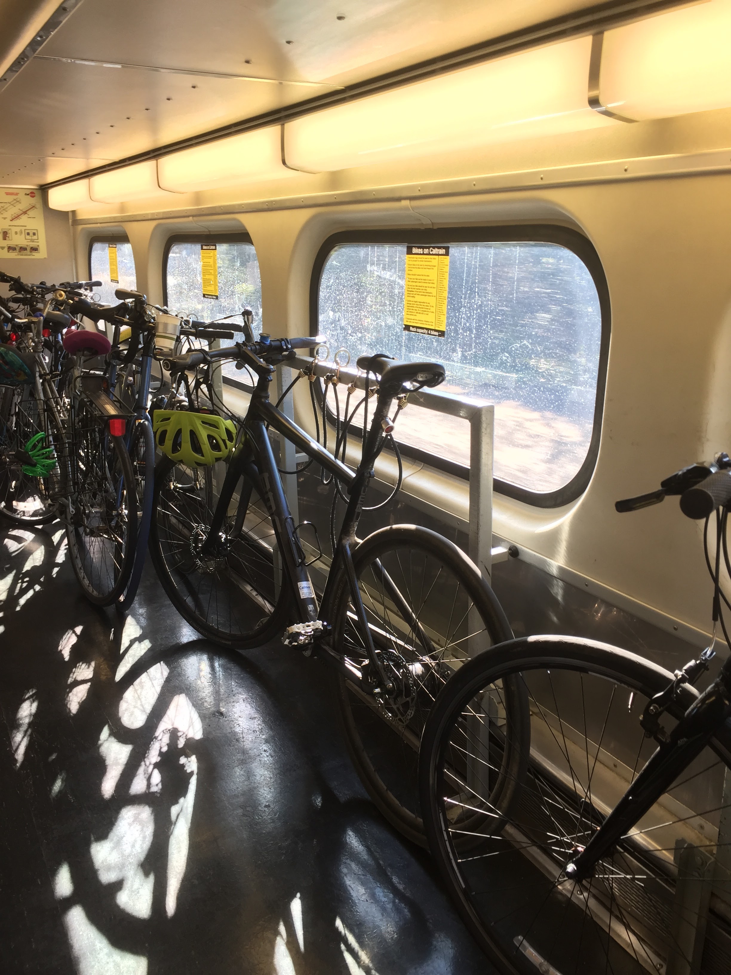 Day with Matt and Liv