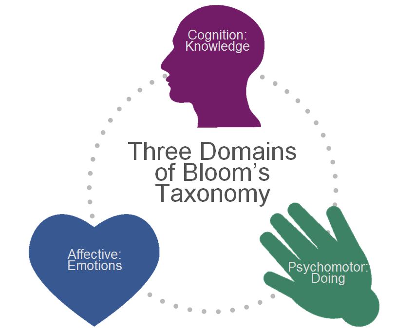 obj_overview_blooms_domains