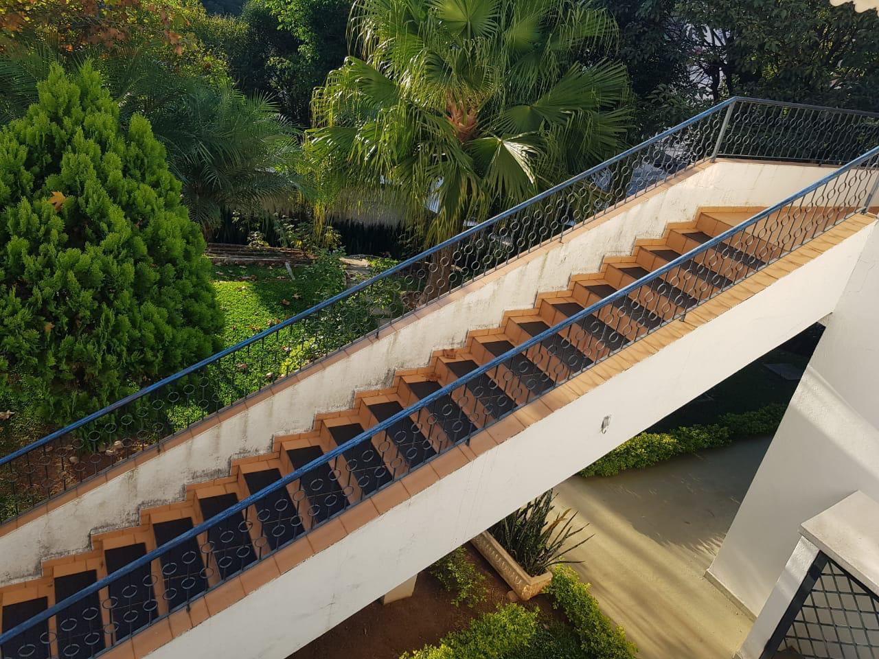 Escada pelo jardim em meio ao verde