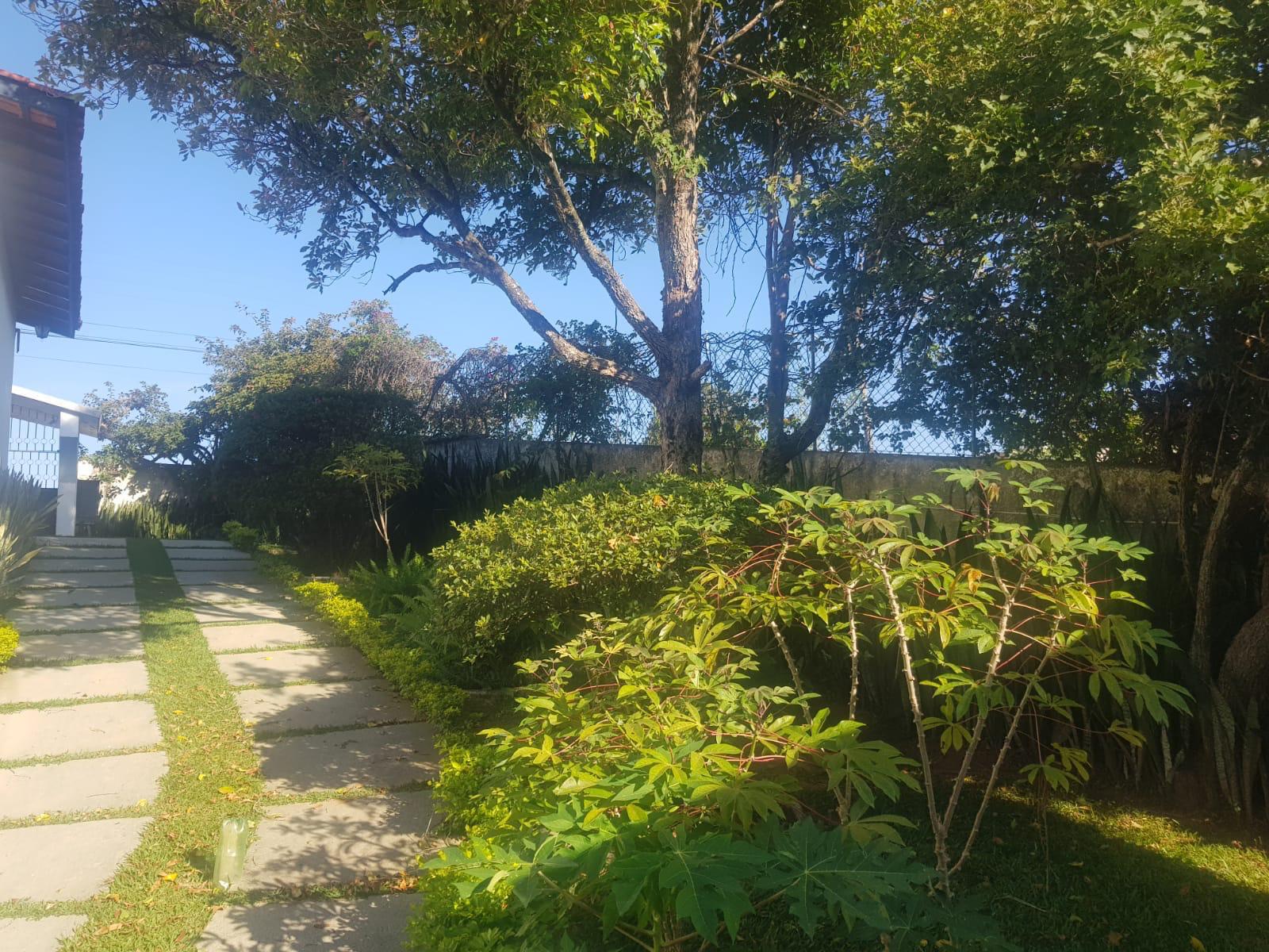 Caminho sombreado pelo jardim