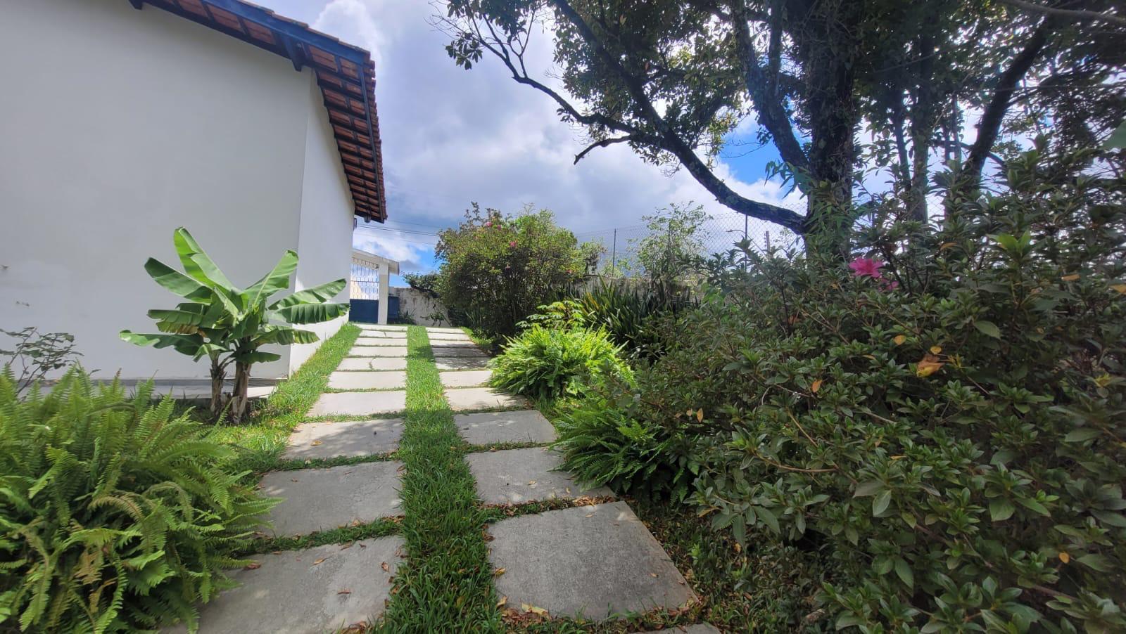 Caminho ao lado da casa com vegetação