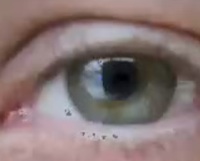 eyes